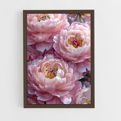 ap-peony-7 cadre Bois foncé
