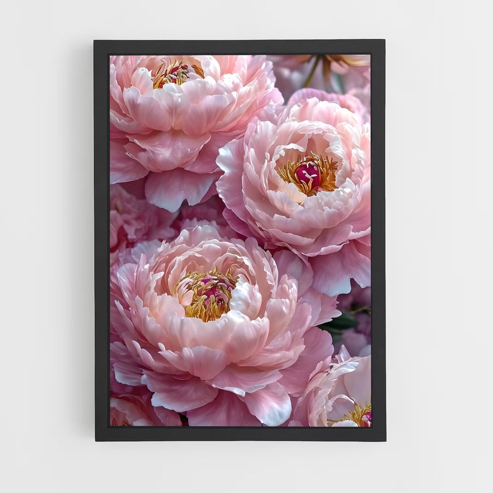 ap-peony-7 cadre Noir