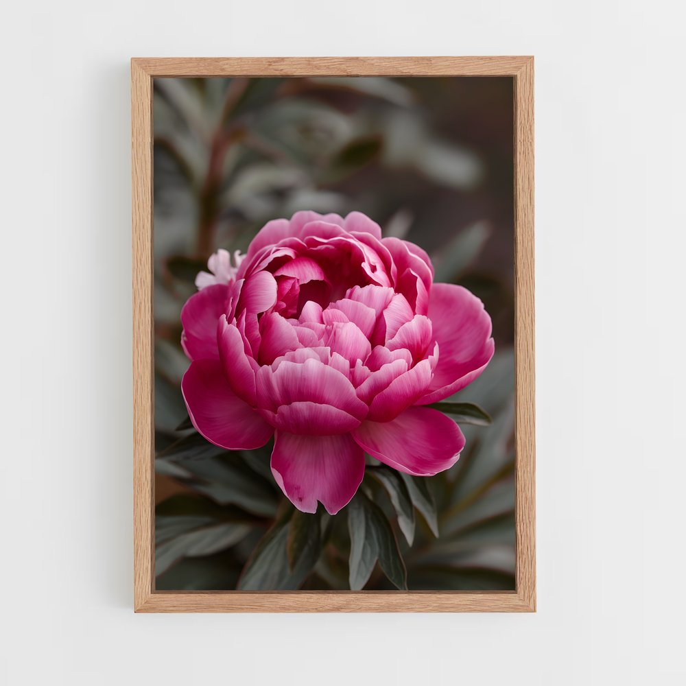 ap-peony-8 cadre Bois clair