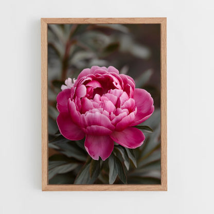 ap-peony-8 cadre Bois clair
