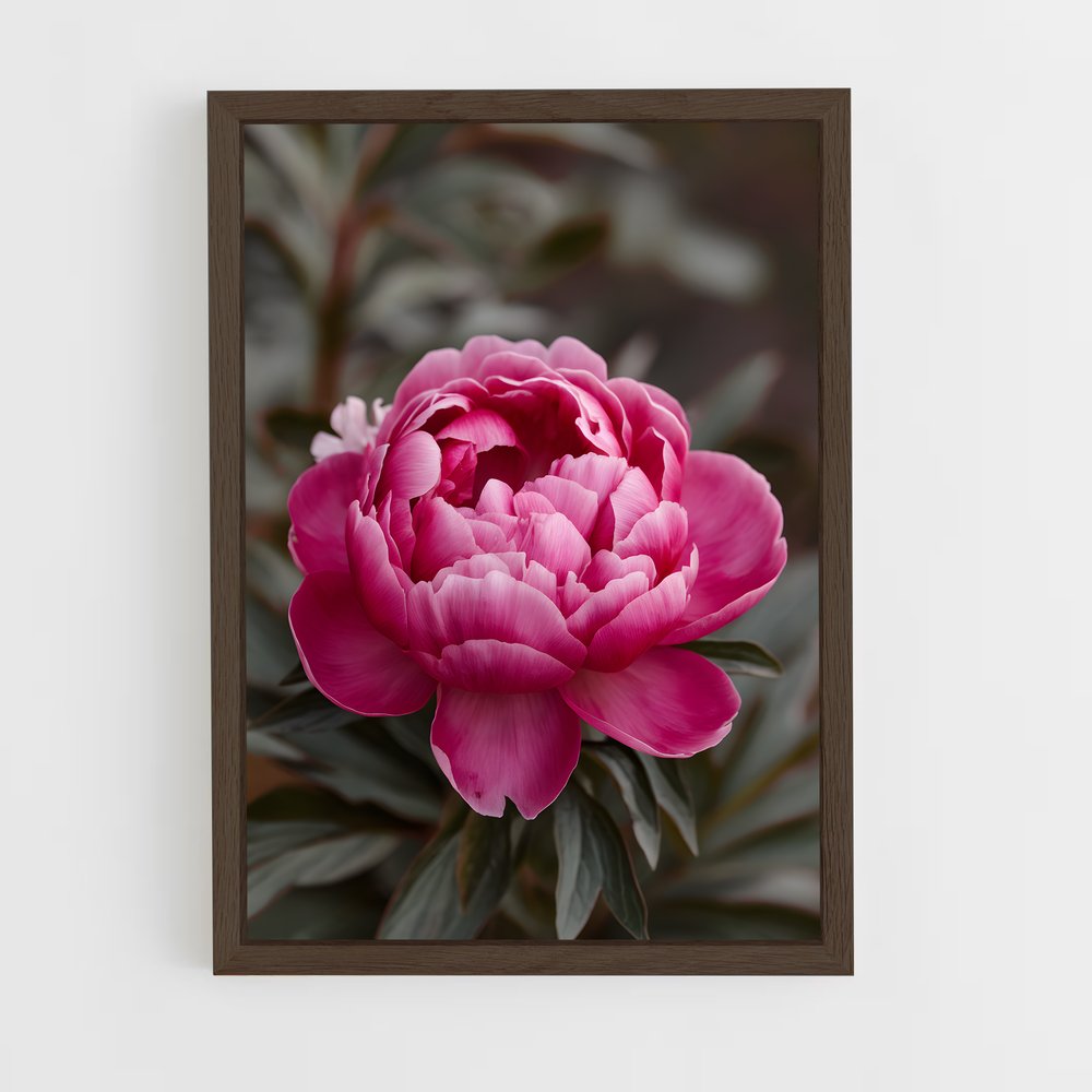 ap-peony-8 cadre Bois foncé