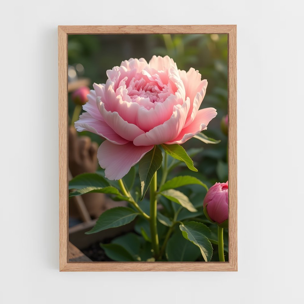 ap-peony-9 cadre Bois clair