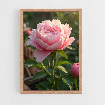 ap-peony-9 cadre Bois clair