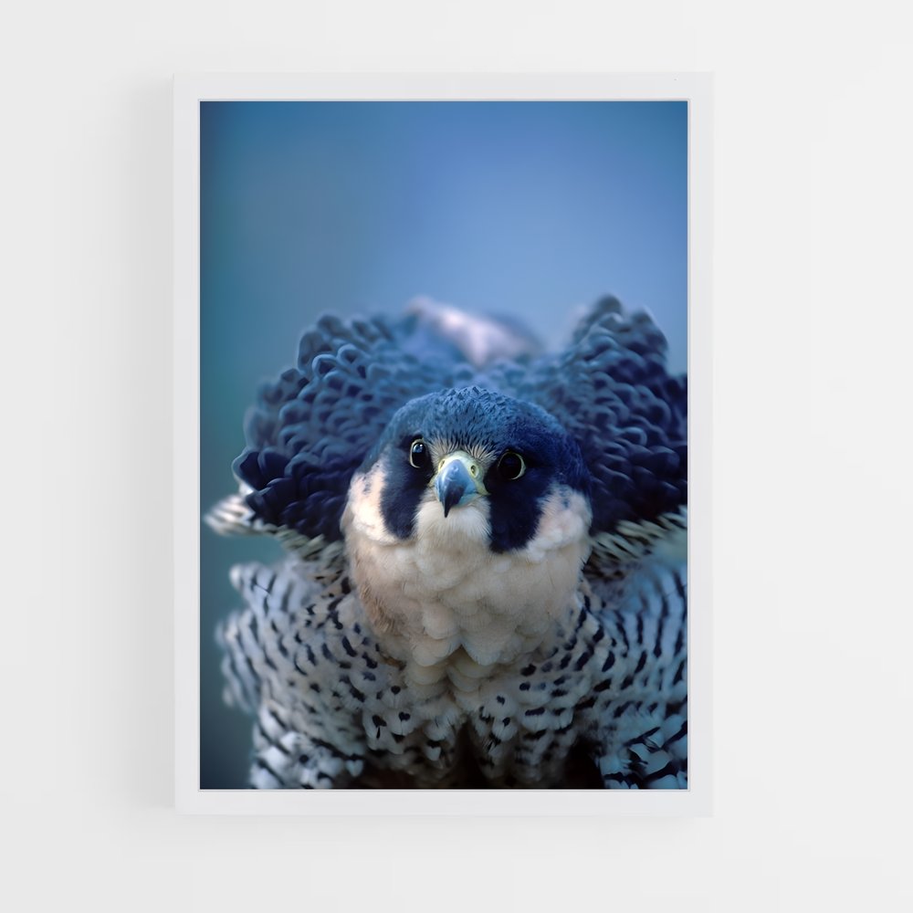 ap-peregrine falcon-3 cadre Blanc