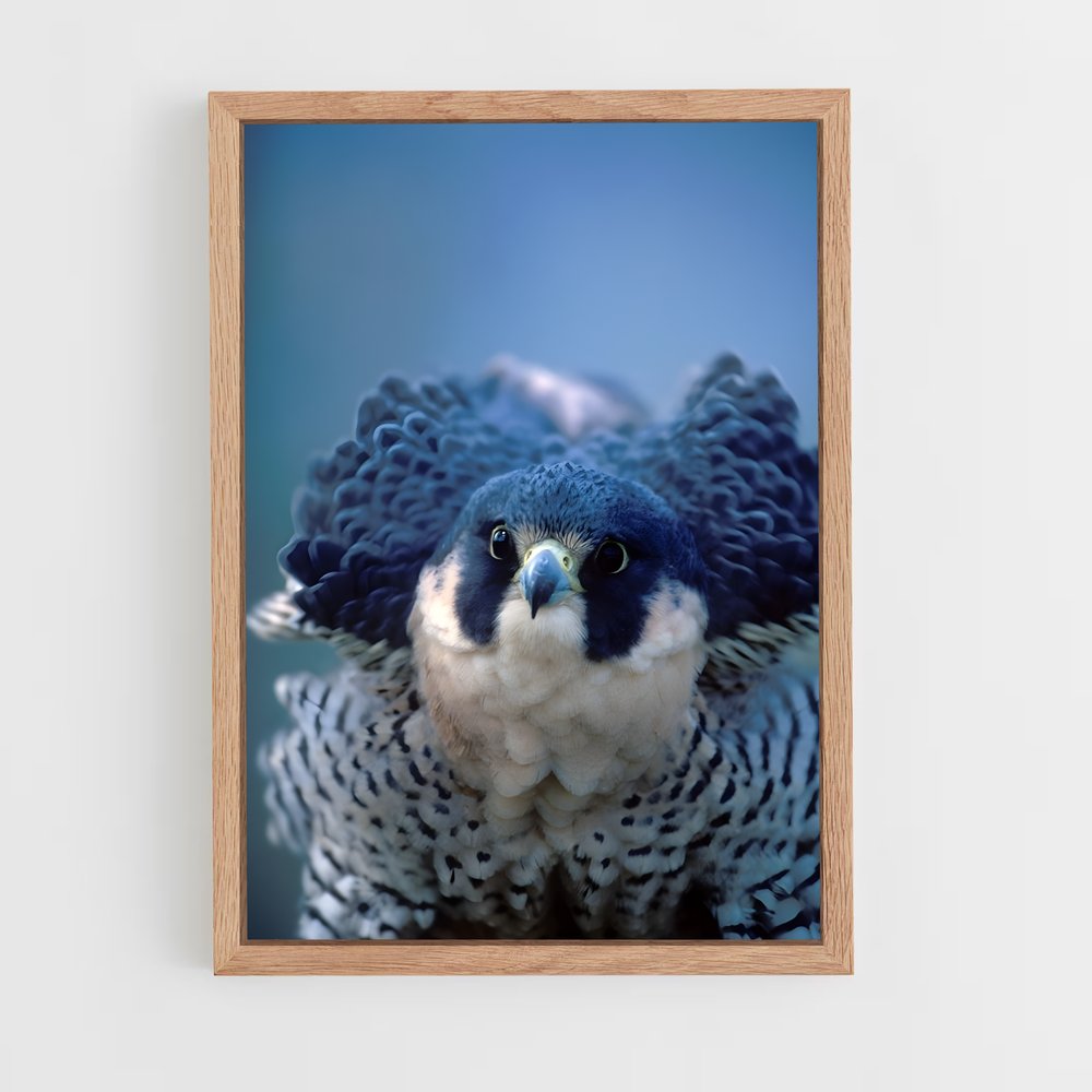 ap-peregrine falcon-3 cadre Bois clair