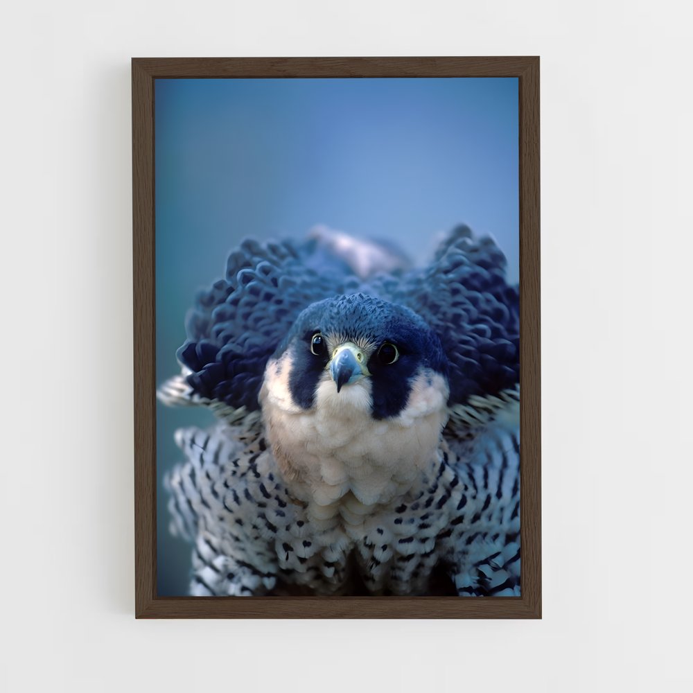 ap-peregrine falcon-3 cadre Bois foncé