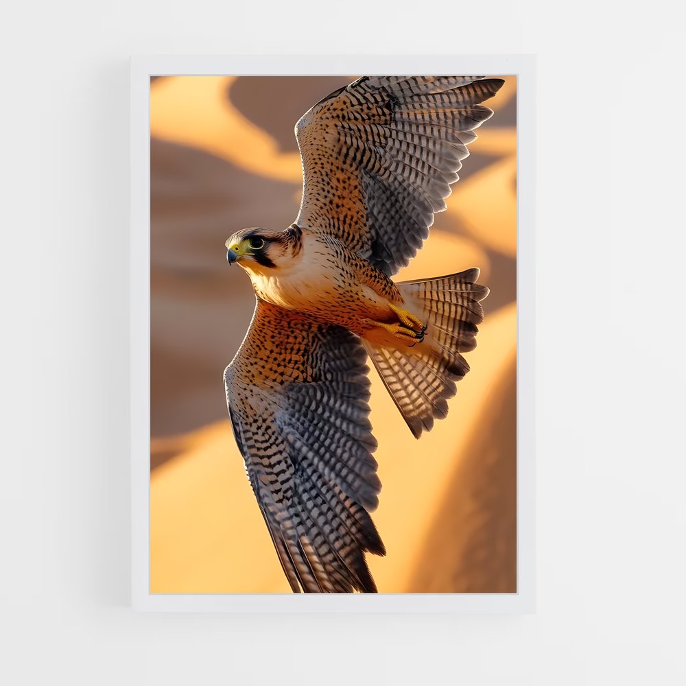ap-peregrine falcon-4 cadre Blanc