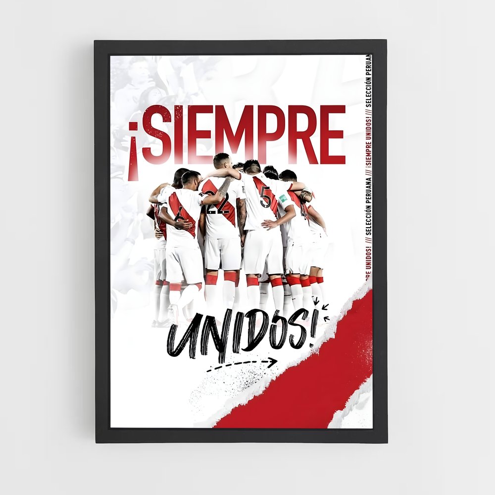 ap-peru national football team-2 cadre Noir