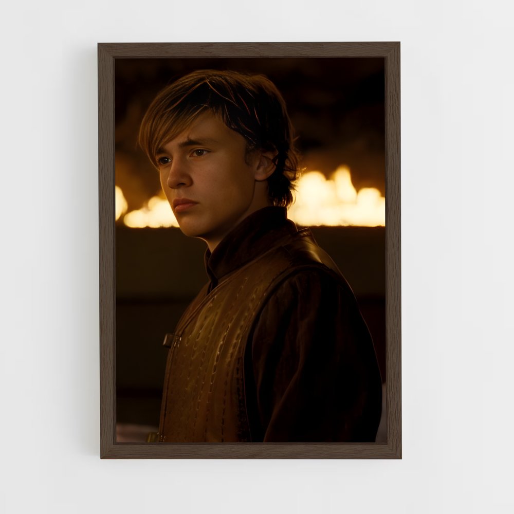 ap-peter pevensie-5 cadre Bois foncé