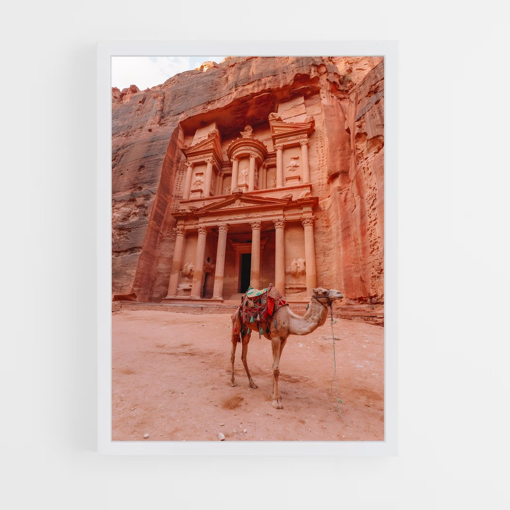 ap-petra-12 cadre Blanc
