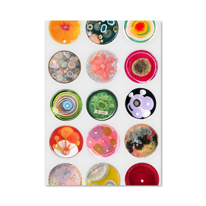 Poster Palette Vivante