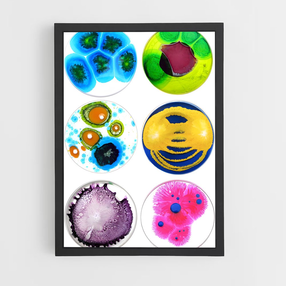 ap-petri dish-3 cadre Noir