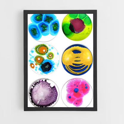 ap-petri dish-3 cadre Noir