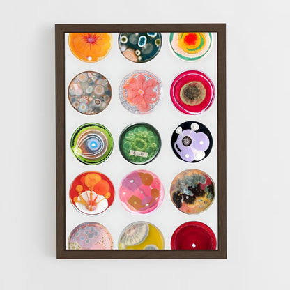 ap-petri dish-4 cadre Bois foncé