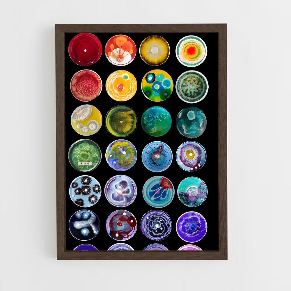 ap-petri dish-5 cadre Bois foncé