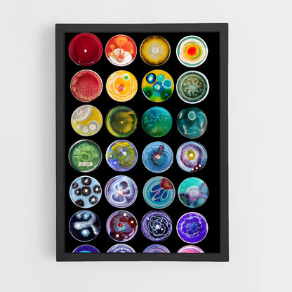 ap-petri dish-5 cadre Noir