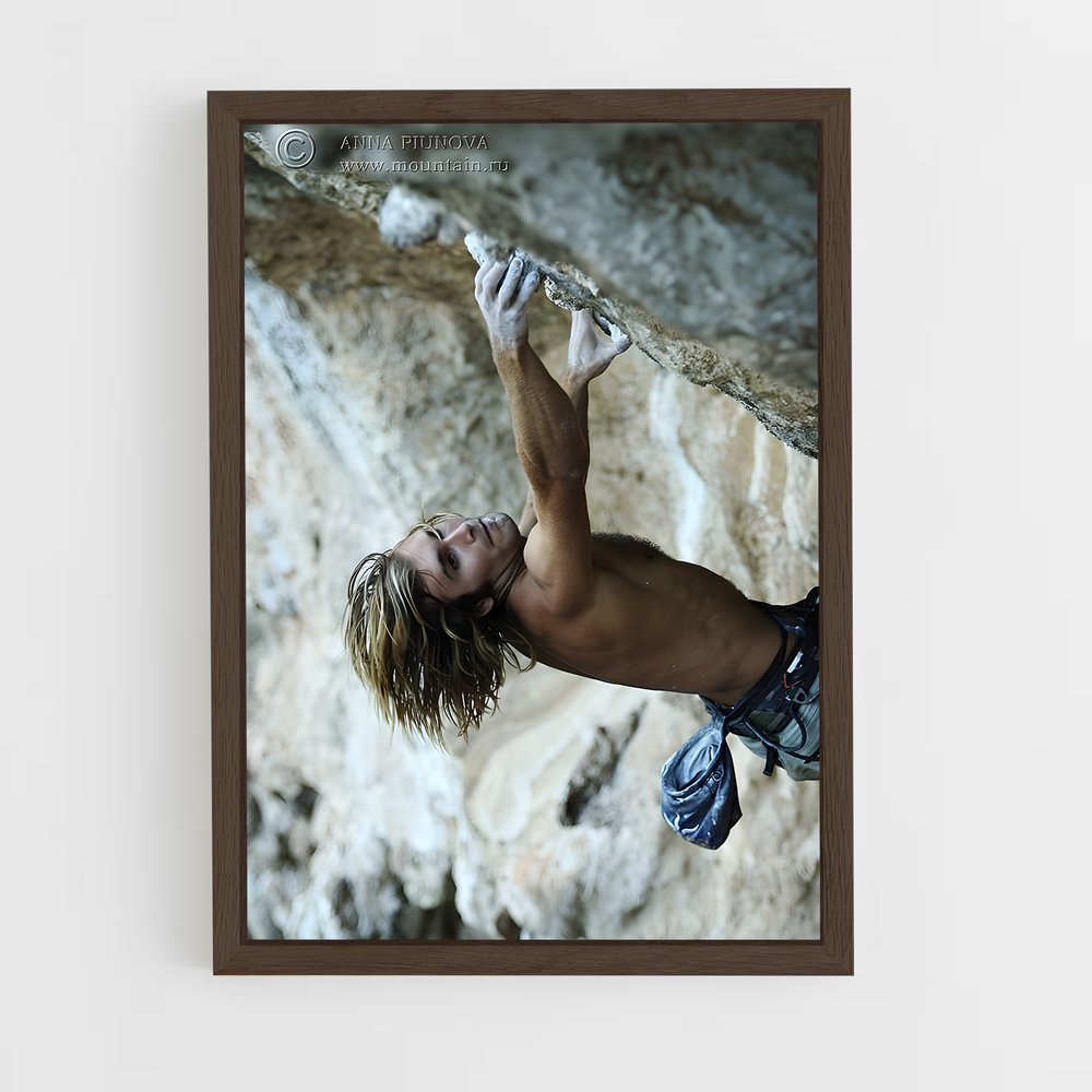 ap-petzl roc trip-2 cadre Bois foncé