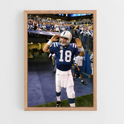 ap-peyton manning-1 cadre Bois clair
