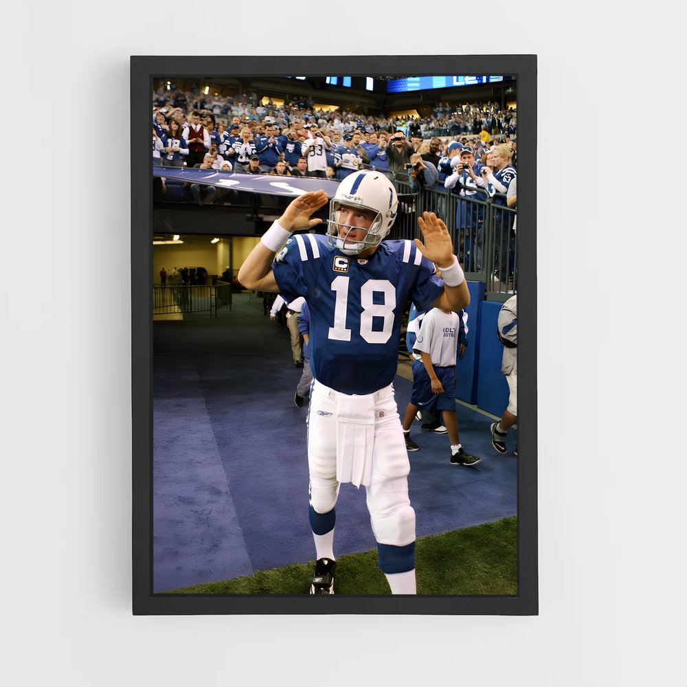 ap-peyton manning-1 cadre Noir