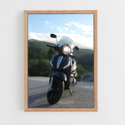 ap-piaggio beverly-2 cadre Bois clair