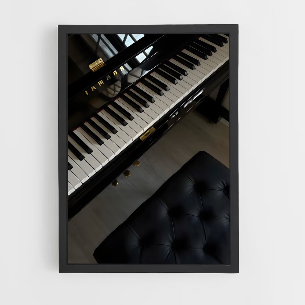 ap-piano-1 cadre Noir