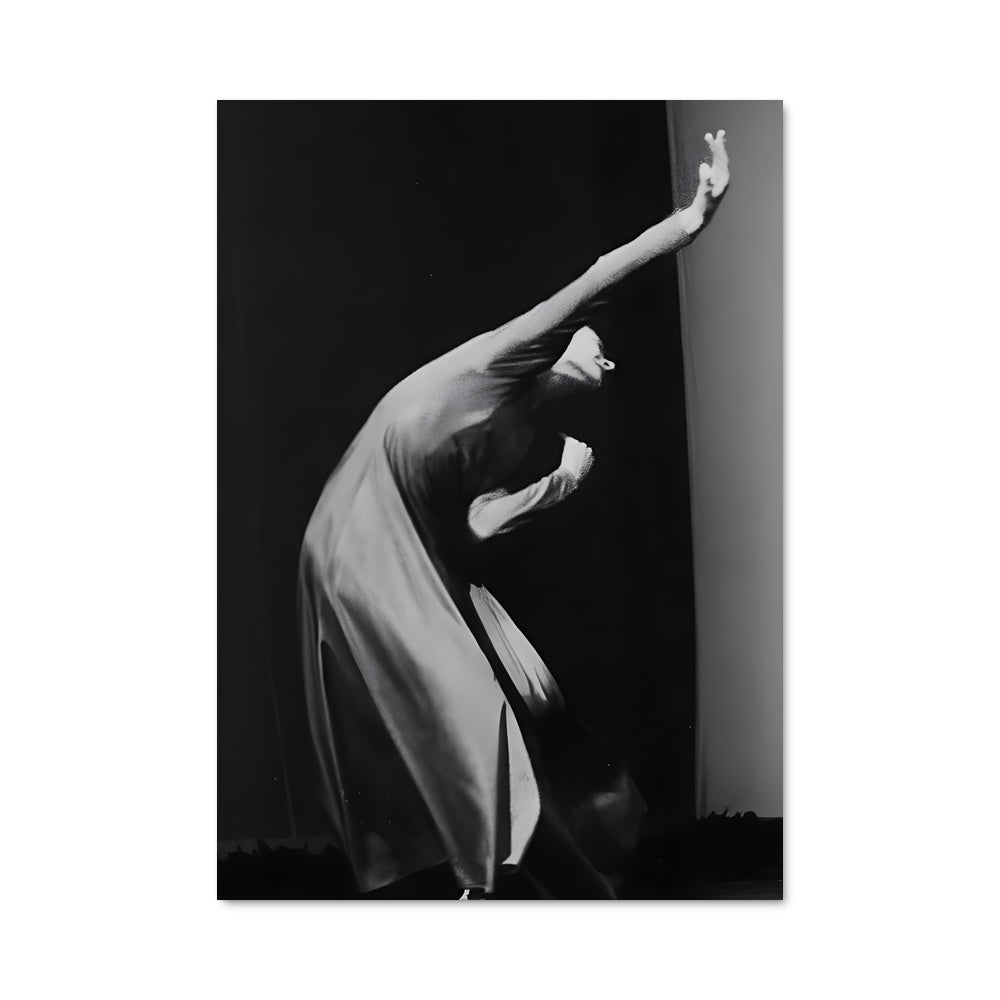 Poster Pina bausch 65843