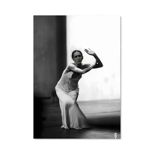 Poster Pina bausch 65845