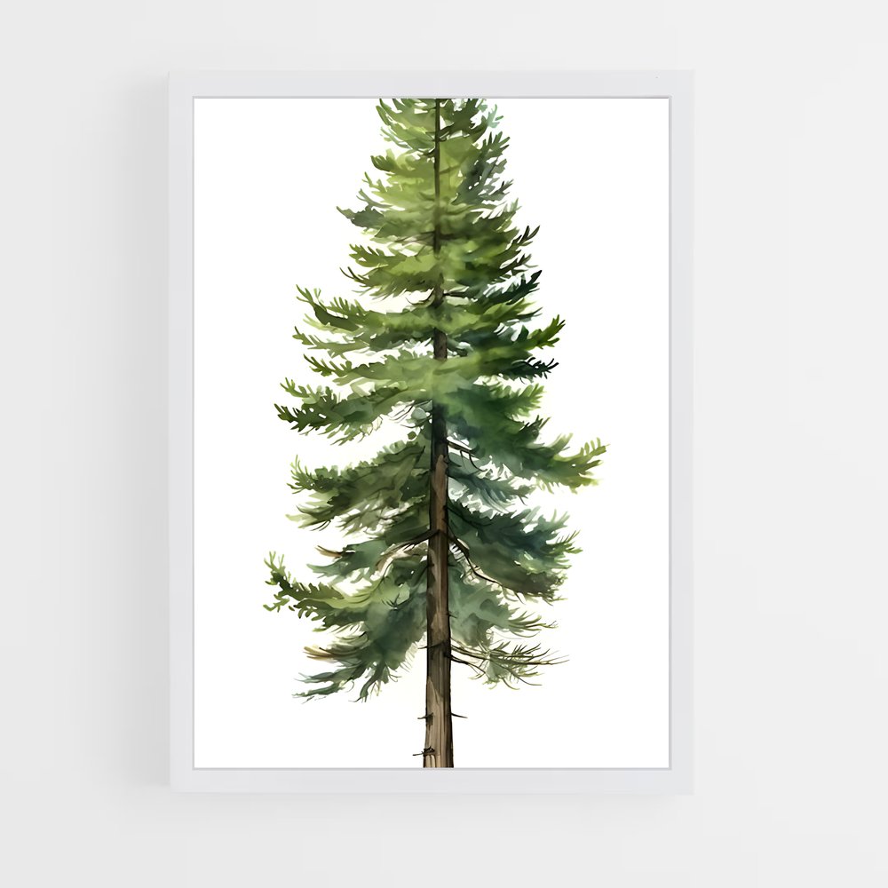 ap-pine-1 cadre Blanc
