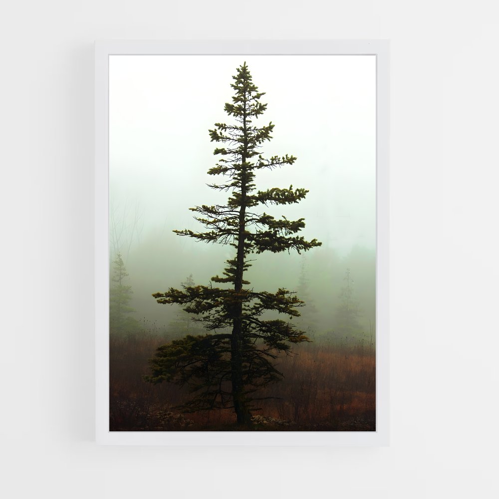 ap-pine-2 cadre Blanc