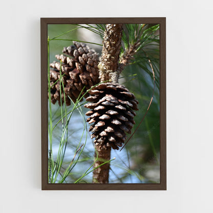 ap-pine-3 cadre Bois foncé