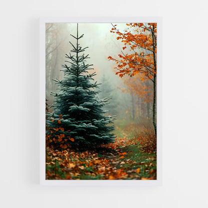 ap-pine-5 cadre Blanc