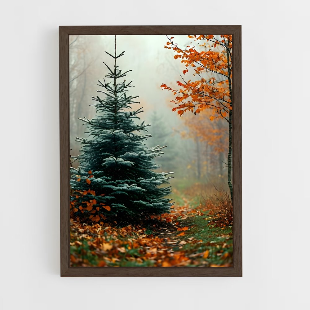 ap-pine-5 cadre Bois foncé
