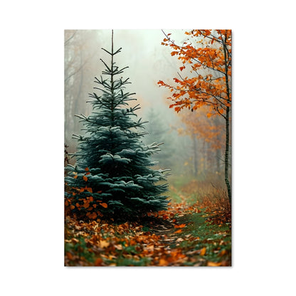 Poster Pine 96993