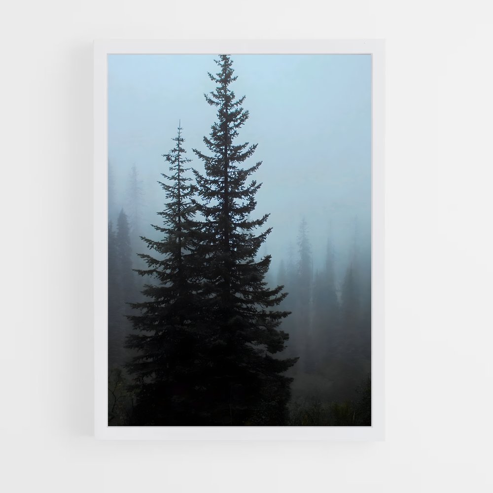 ap-pine-6 cadre Blanc