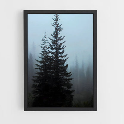 ap-pine-6 cadre Noir