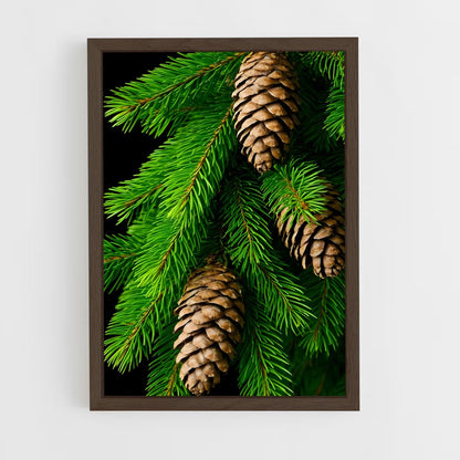 ap-pine-8 cadre Bois foncé