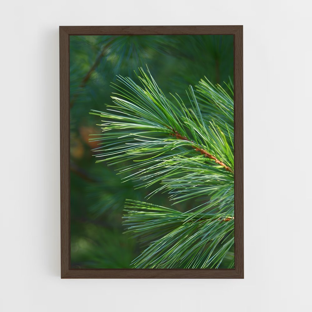 ap-pine-9 cadre Bois foncé