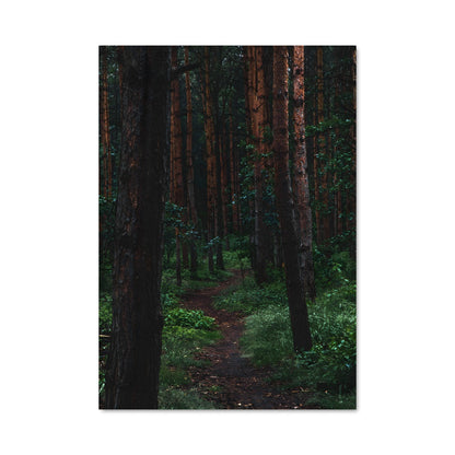 Poster Sentier Secret