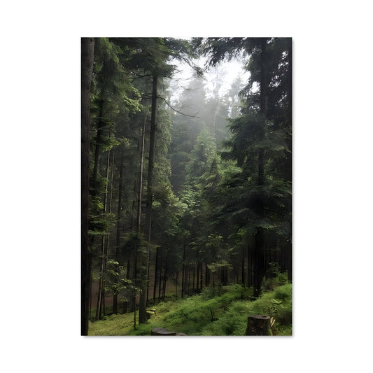 Poster Pine forest 94981