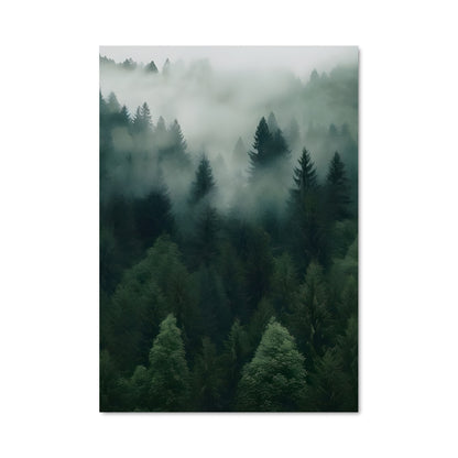 Poster Brume Émeraude
