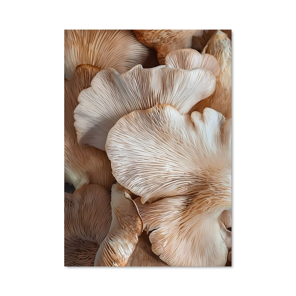 Poster Champignons Rosés