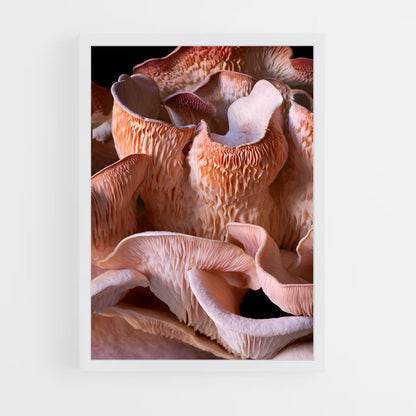 ap-pink oyster-2 cadre Blanc