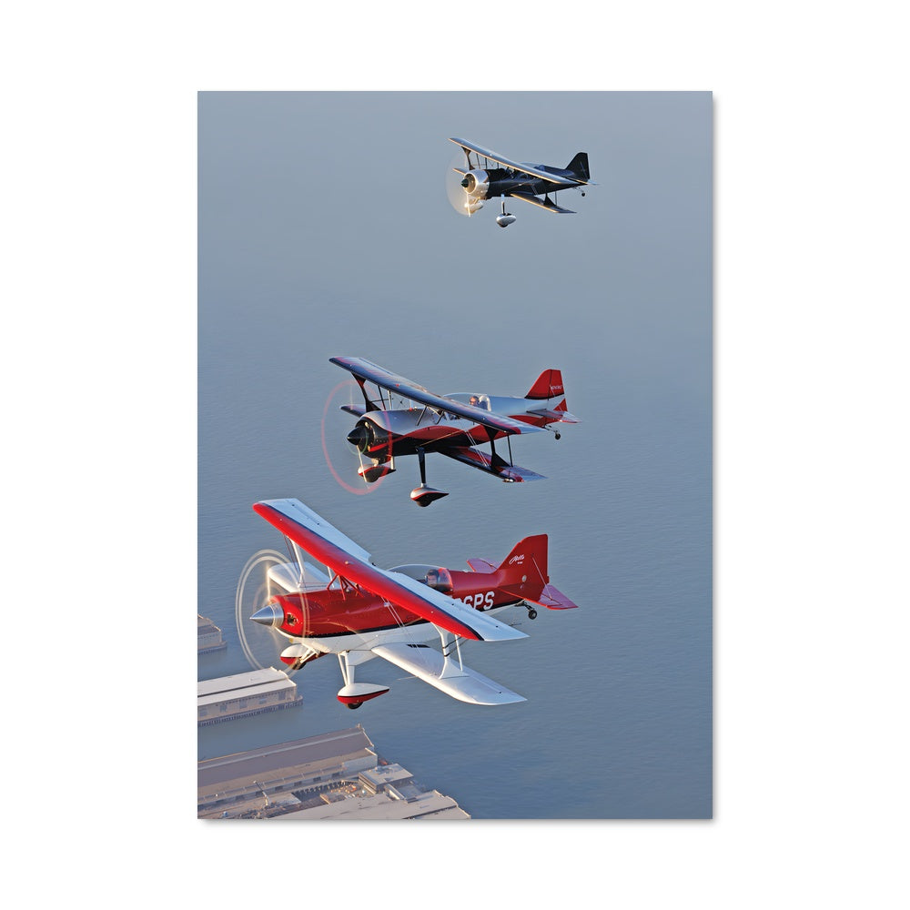 Poster Vols Enchanteurs