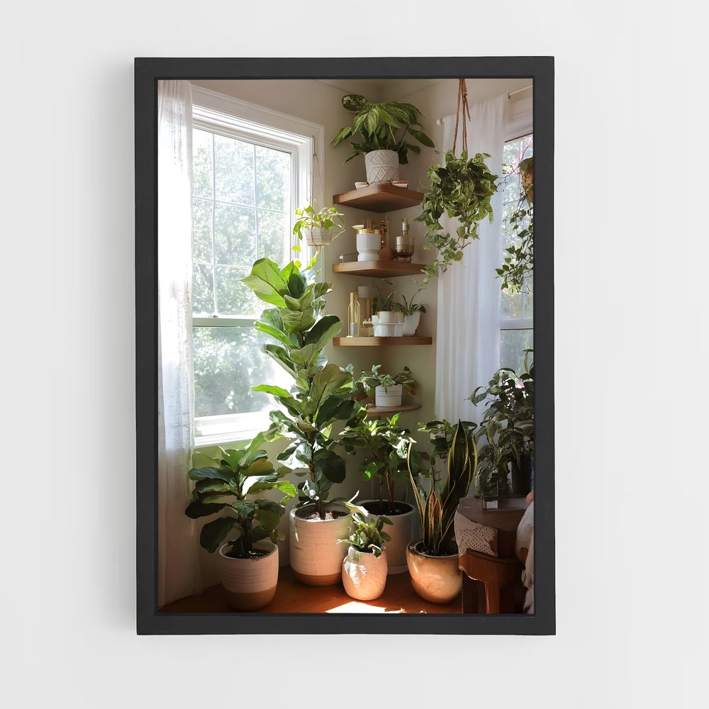 ap-plant-15 cadre Noir
