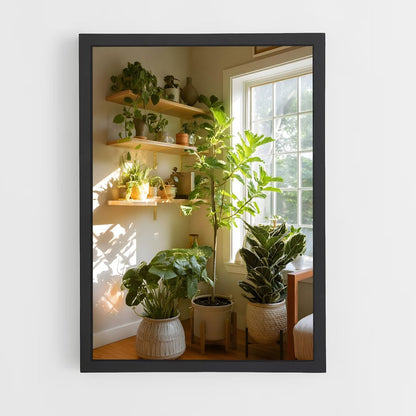 ap-plant-16 cadre Noir
