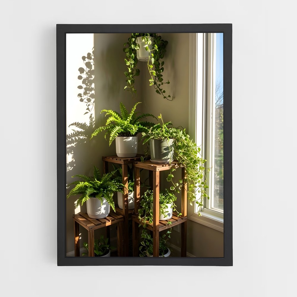 ap-plant-19 cadre Noir