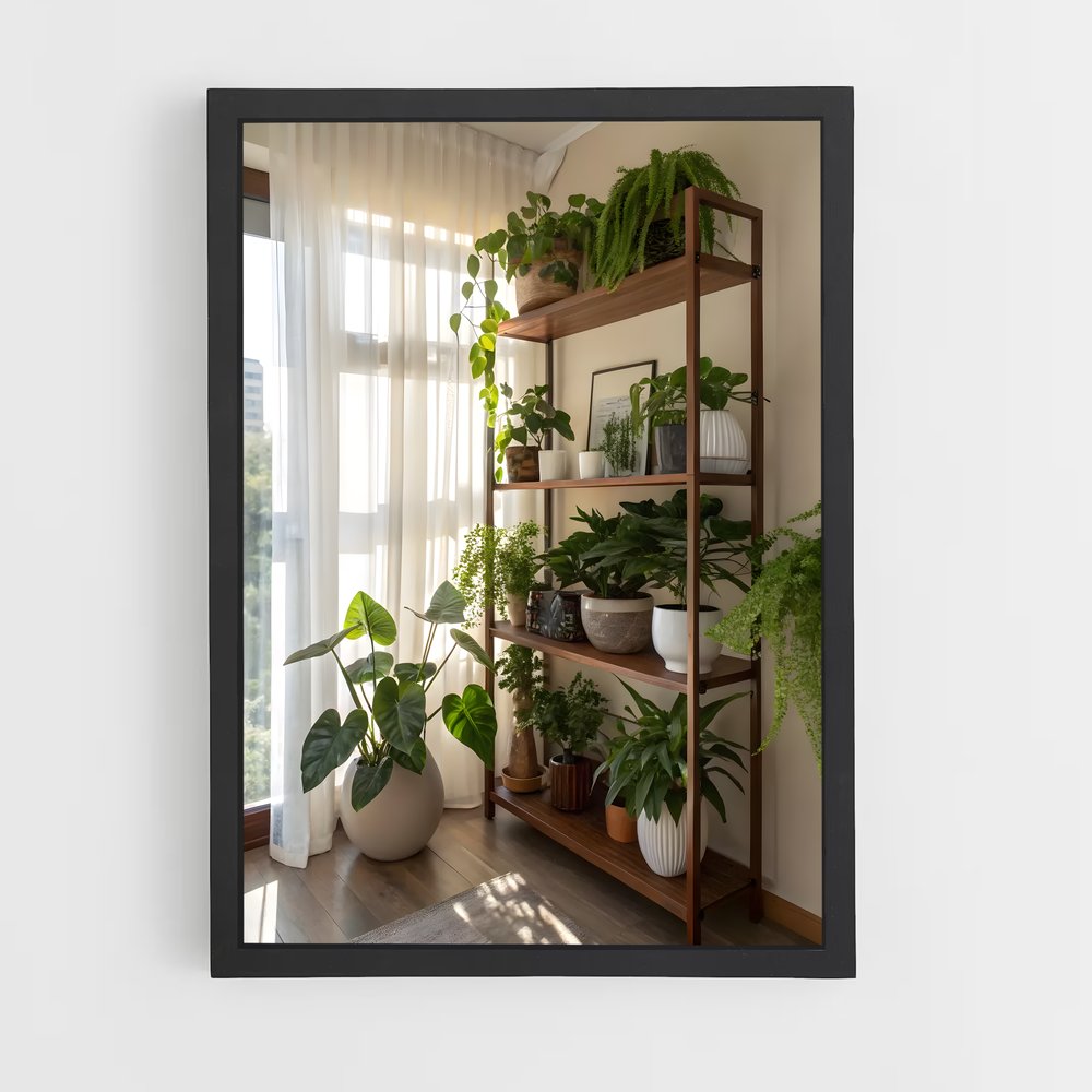 ap-plant-2 cadre Noir