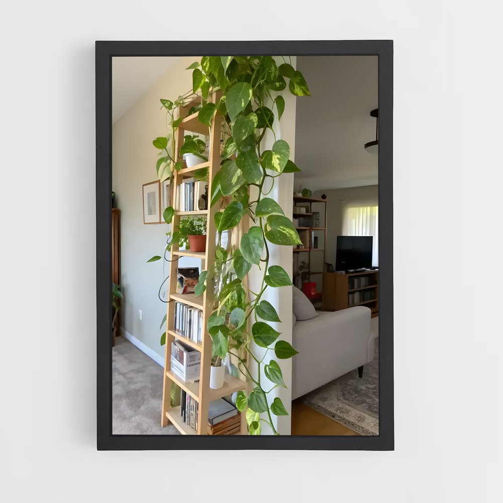 ap-plant-21 cadre Noir