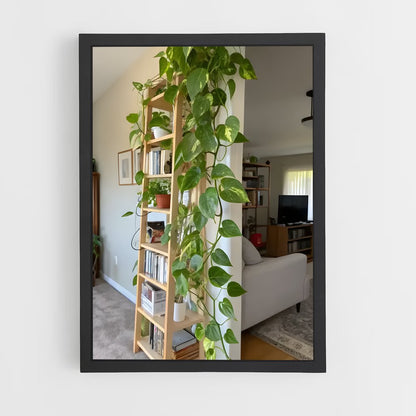 ap-plant-21 cadre Noir