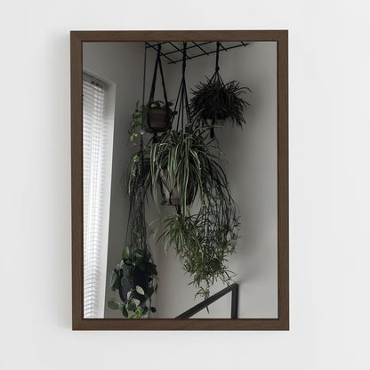 ap-plant-8 cadre Bois foncé